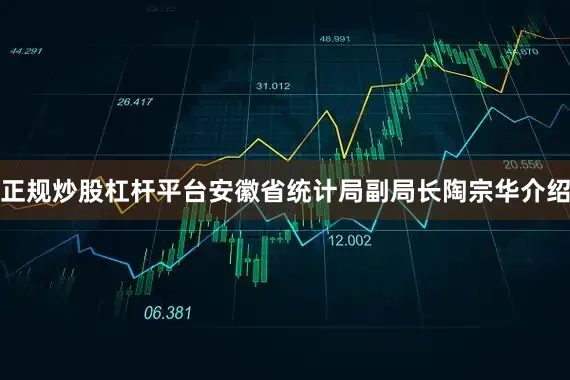 正规炒股杠杆平台　　安徽省统计局副局长陶宗华介绍