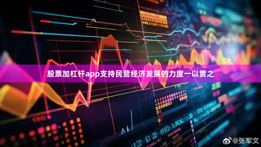 股票加杠杆app支持民营经济发展的力度一以贯之