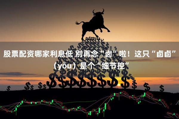 股票配资哪家利息低 别再念“卤”啦！这只“卣卣”（yǒu）是个“细节控”